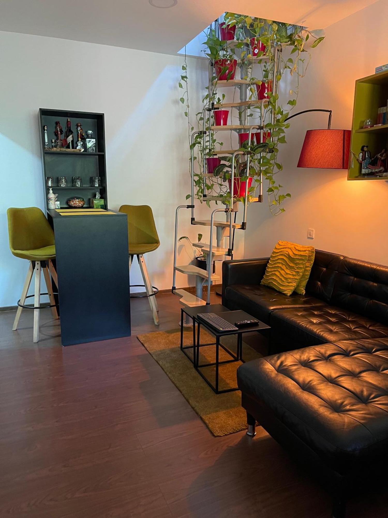 City Garden Apartments Bucureşti Exterior foto
